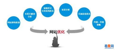 金水易登网——专业的网络技术服务专家
